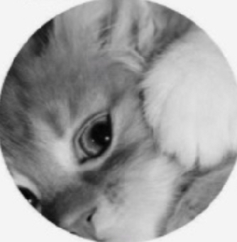 parler en toute simplicité